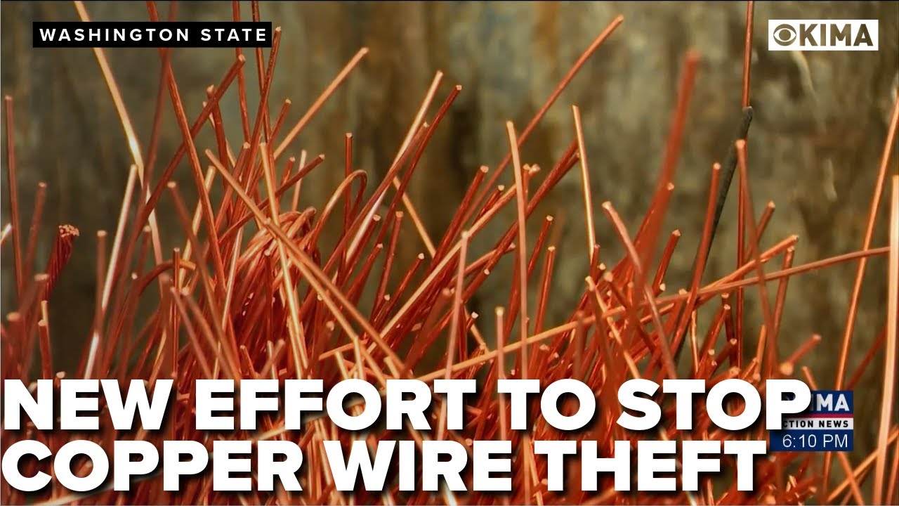 «В конечном итоге расплачиваются все»: законопроект направлен на борьбу с продажей украденной мед...