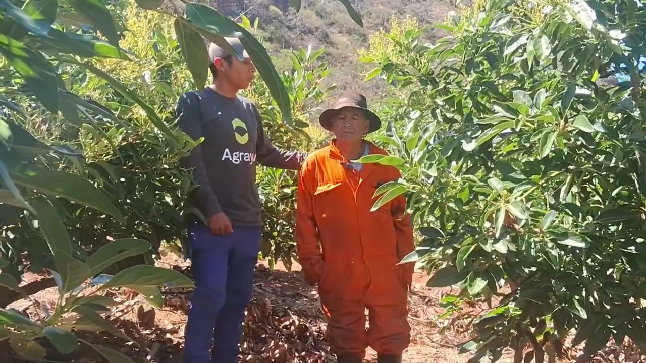 COSECHA MAS CON AGRAYU
