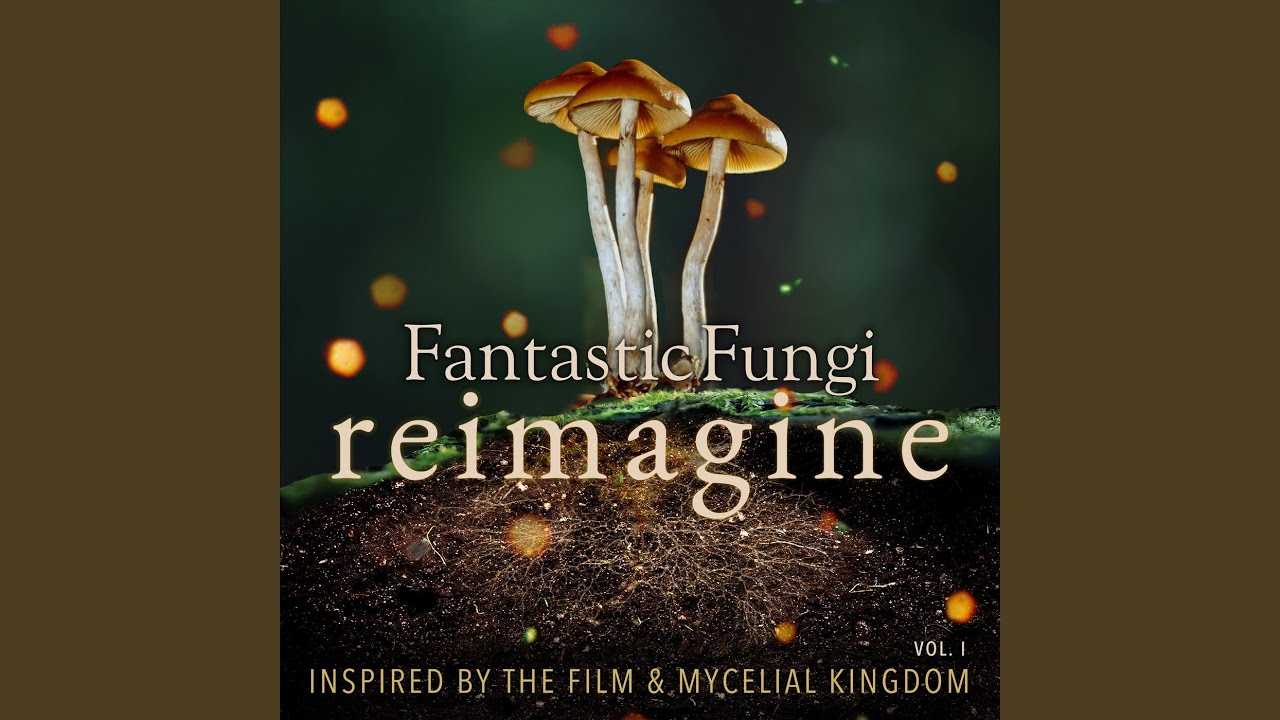 Om Mantra (The Cosmic Yes)