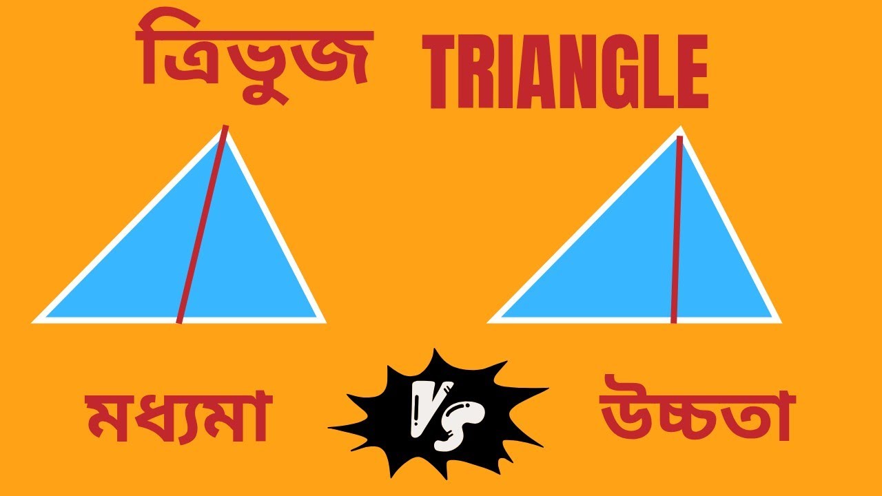“উচ্চতা আর মধ্যমার পার্থক্য | Triangle Height vs Median Explained | Geometry Class”