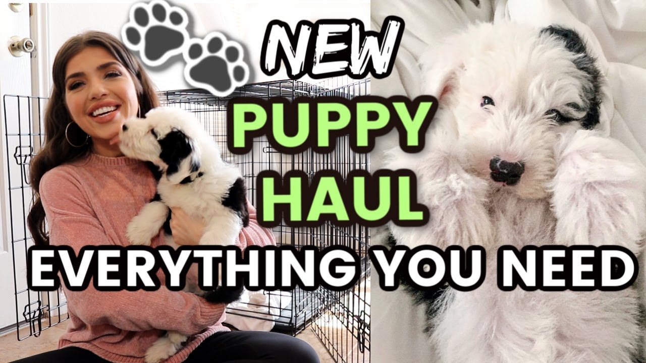 NEW PUPPY HAUL | PUPPY ESSENTIALS: Everything you need for your new puppy! 7 Week Old Doddle Puppy