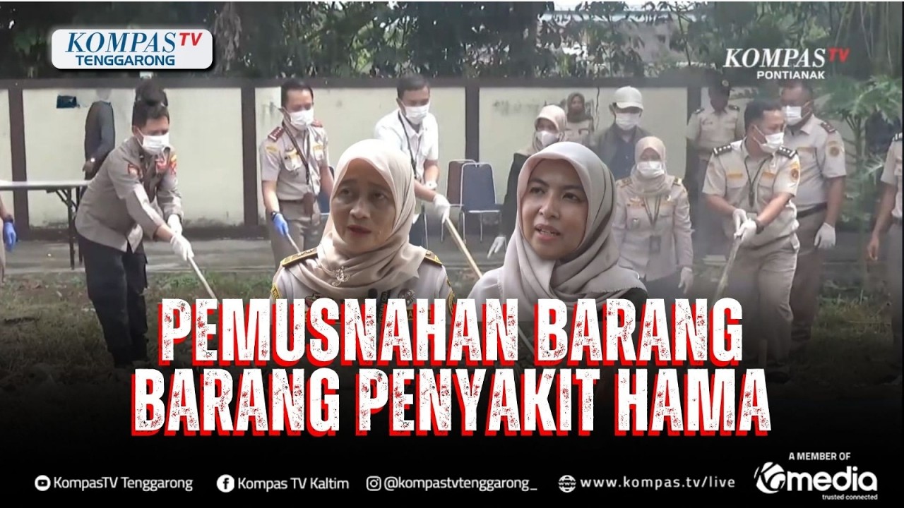 Ribuan Media Pembawa Hama Penyakit Hewan Karantina Dimusnahkan