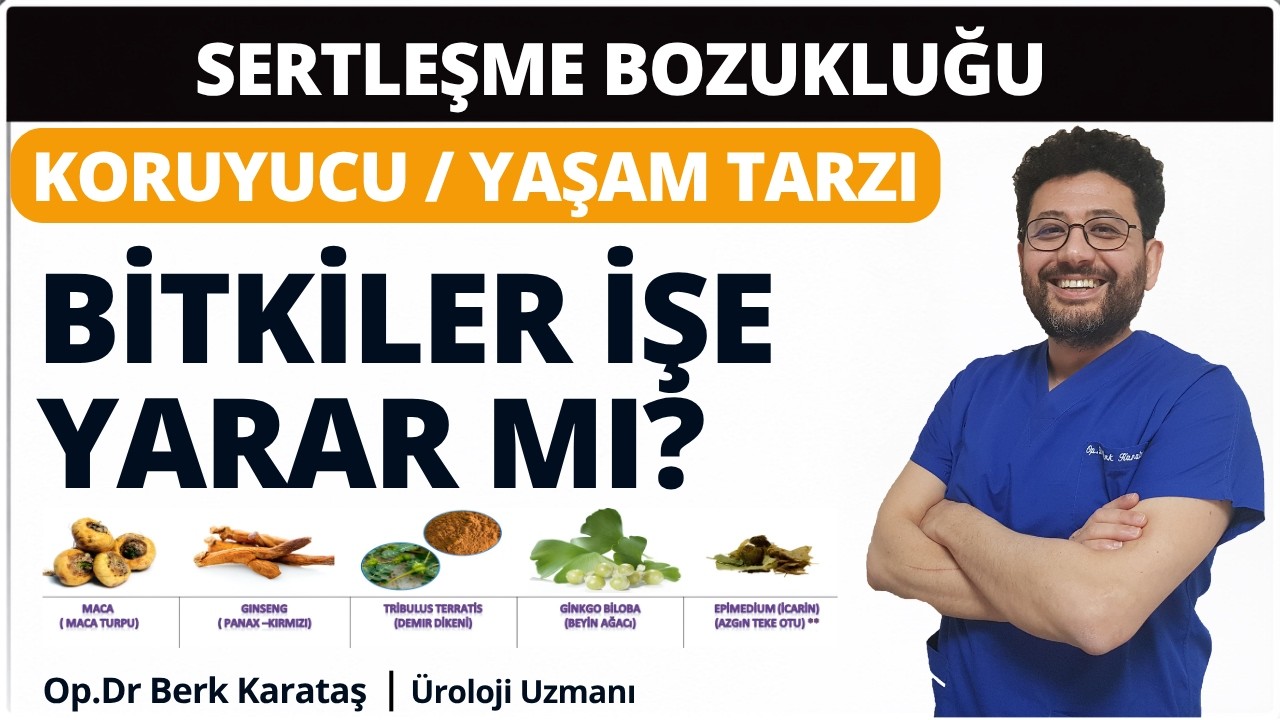 Sertleşme Bozukluğu-10 Bitkisel Tedavi (Ginseng , Ginkgo biloba , Epimedium , Maca , Tribulus )