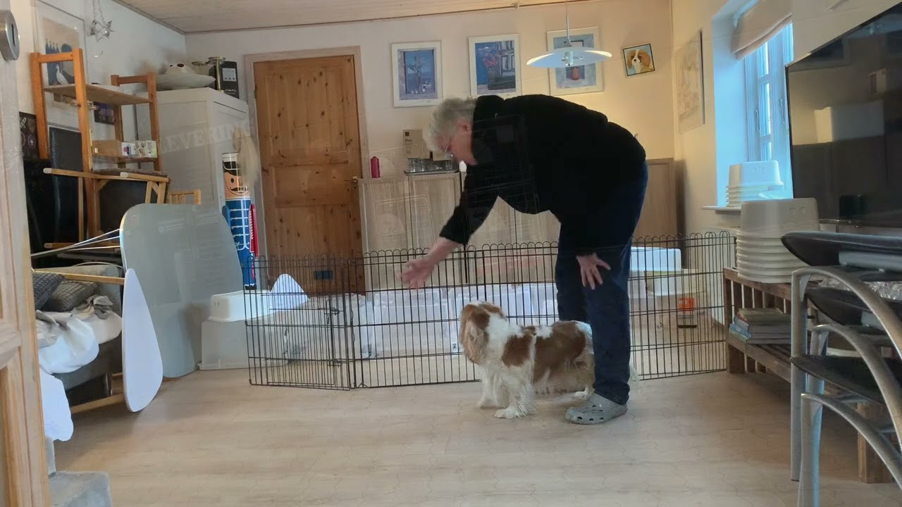 Lulu DKK Sirius Winther Skills Challenge 2025