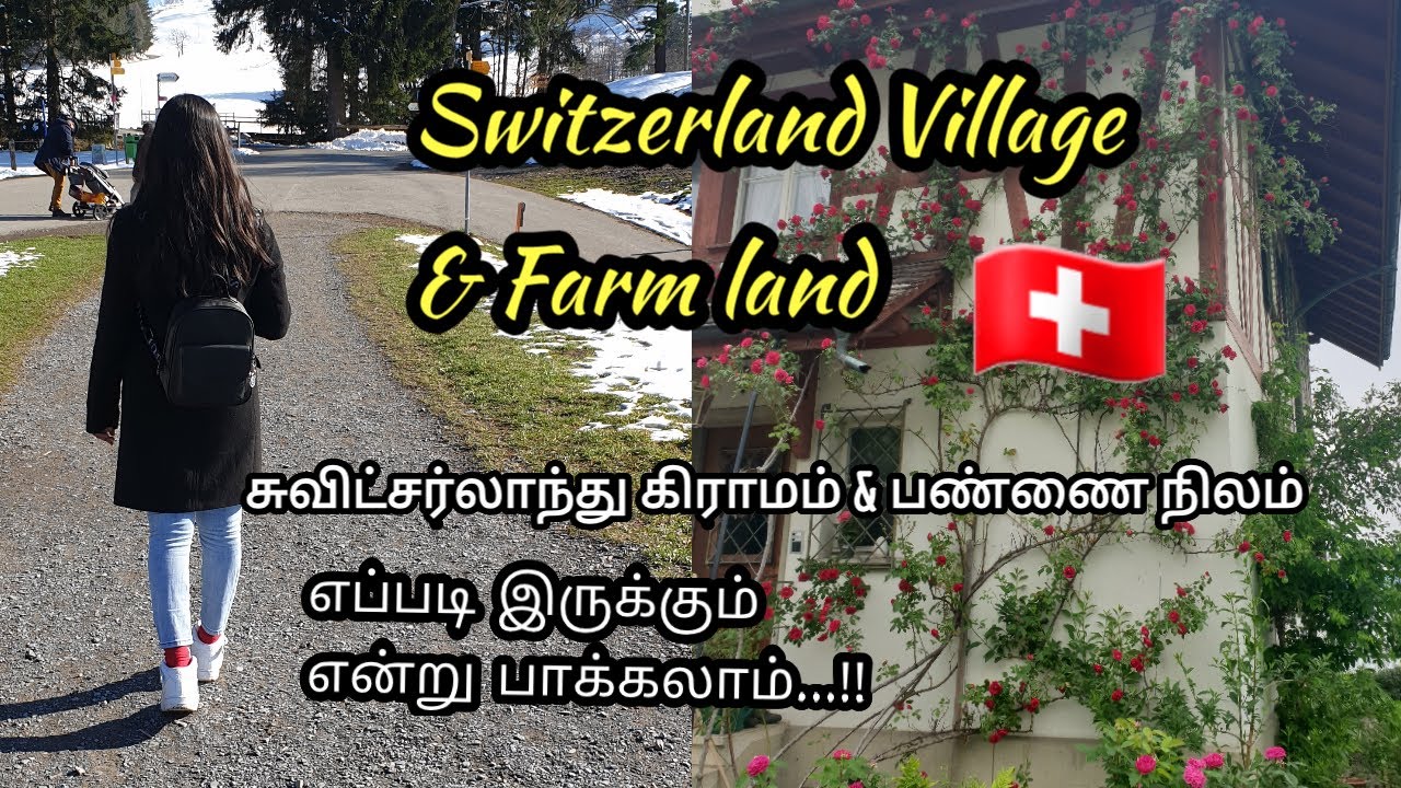 சுவிட்சர்லாந்து கிராமம்,பண்ணை வீடு,பழைய வீடுகள் | Switzerland Village life | Travel with Duwi....!
