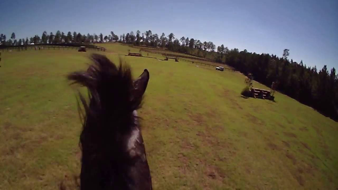 2016 - Lysander - Stable View Advanced