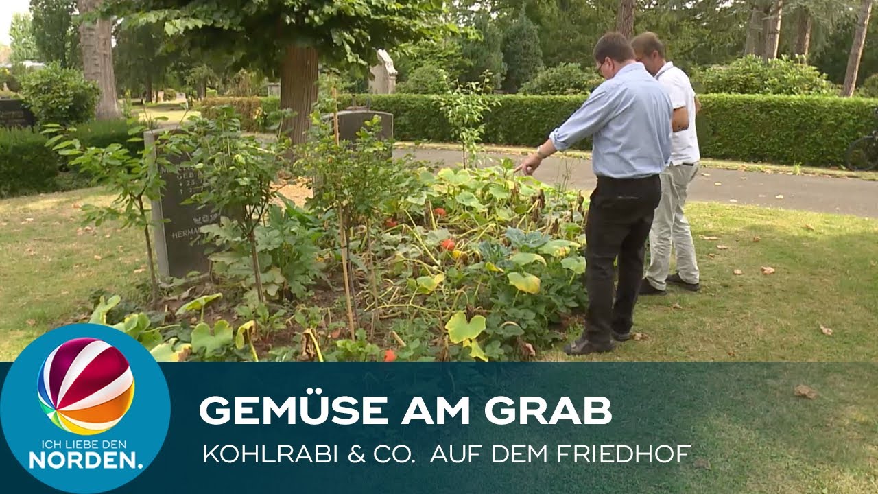 Gemüse als Grabbepflanzung? In Braunschweig scheiden sich die Geister