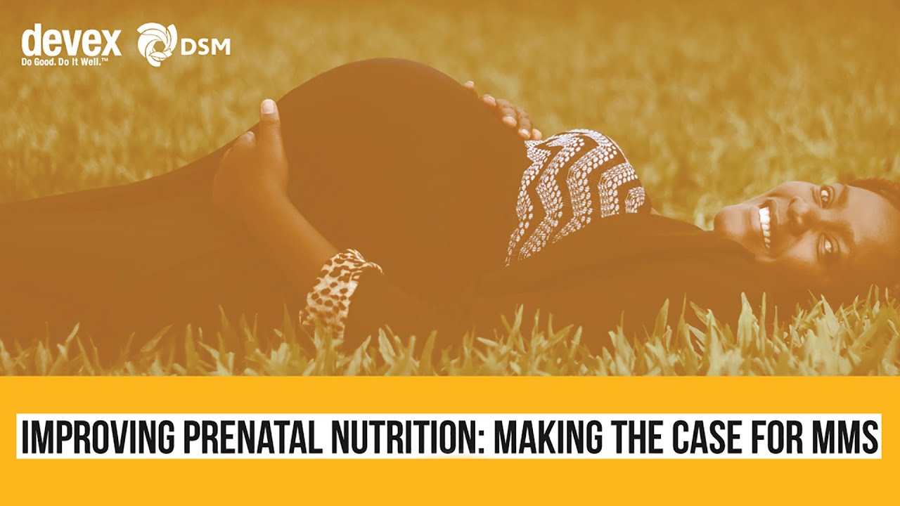 Improving prenatal nutrition: Making the case for multiple micronutrient supplements
