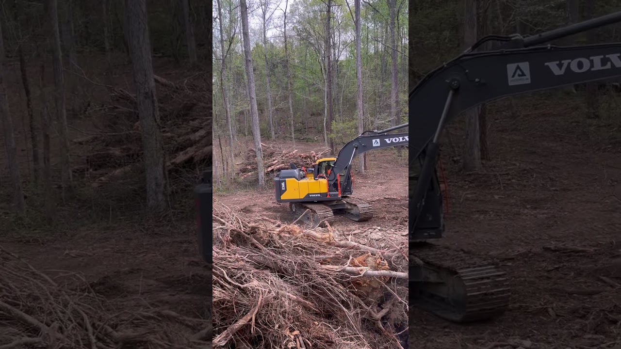 Cleaning up storm damage