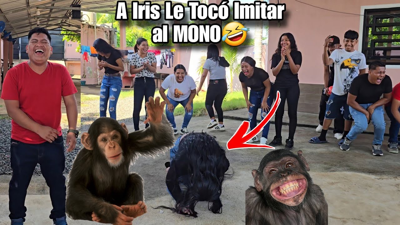 a IRIS le Tocó Imitar al MONO🦧 ya Nadie Aguanto, Todos nos Orinamos de Pura RISA🤣