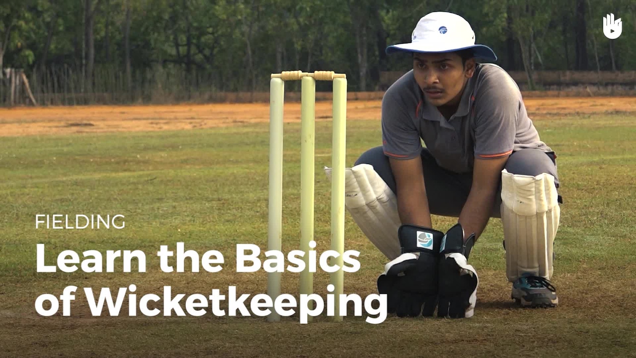 Learn the Basics of Wicketkeeping | Cricket