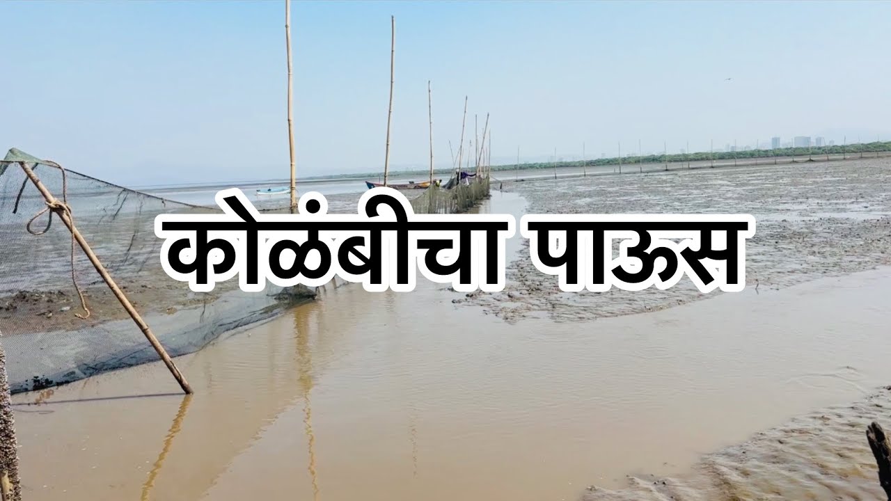 कोळबी पाऊस /अचानक  पडली  होडी  भरुन कोळंबी😱काम २५#netfishing #prawns#mullet fish#Fish#Fishing