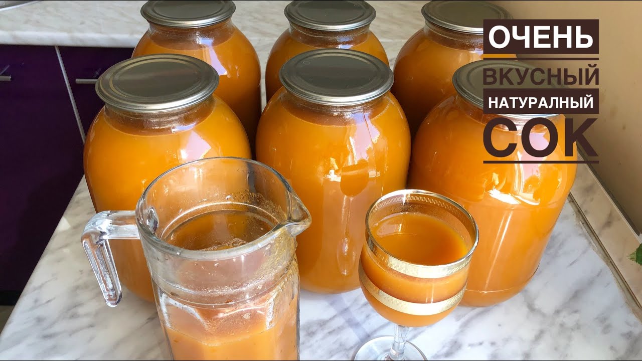 Өріктен сок жасау. 100% Табиғи ӨРІК ШЫРЫНЫ. Абрикосовый сок.Қысқа дайындық.