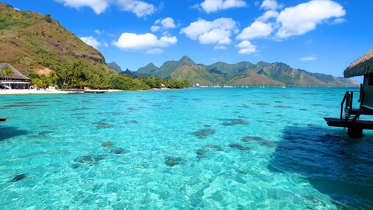 Tropical Screensaver From The Tahitian Islands