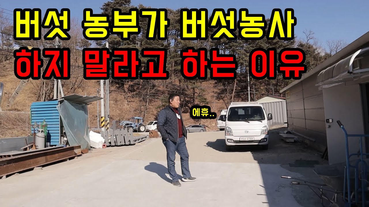 표고버섯 농사 하지마세요...제발