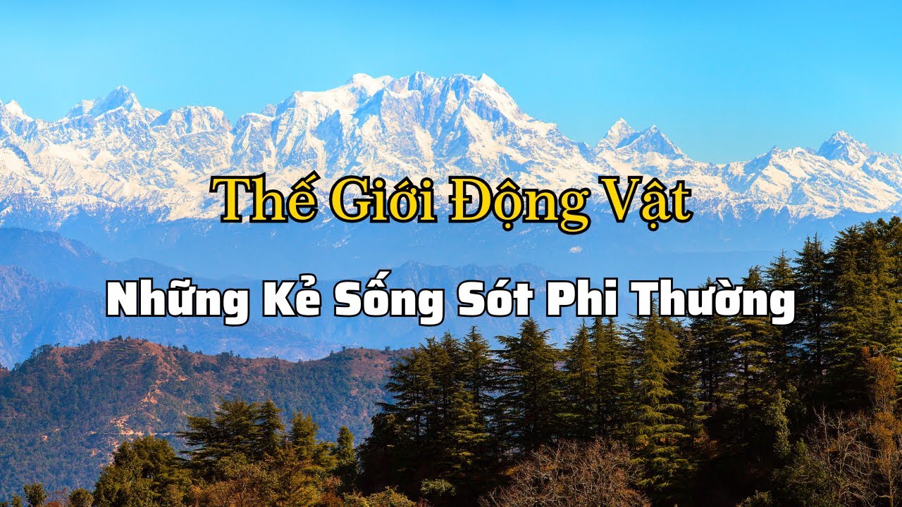 Những Kẻ Sống Sót Phi Thường | Những Loài Động Vật Phi Thường Chinh Phục Hành Tinh Khắc Nghiệt