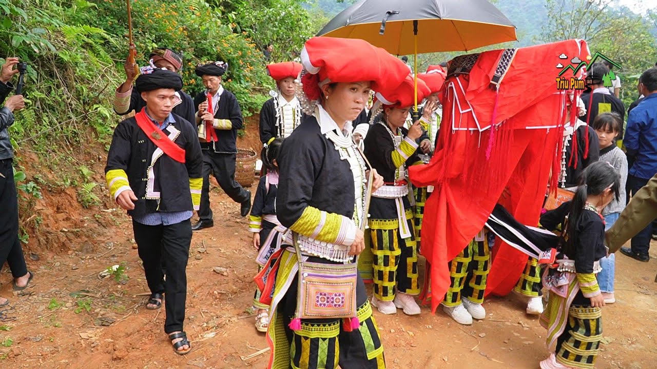 Đám cưới người dao đỏ lào cai | Iu mien wedding | Trìu Pùm