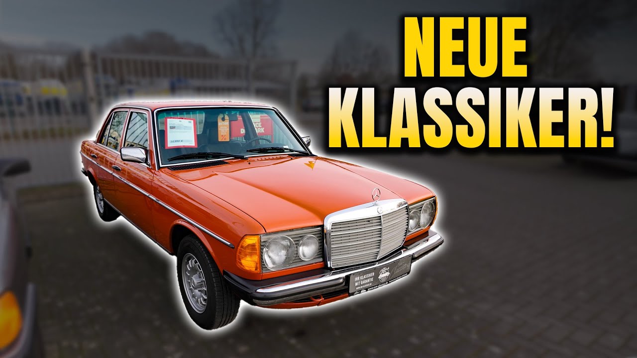 Unsere jüngsten Neuzugänge und was sie besonders macht!
