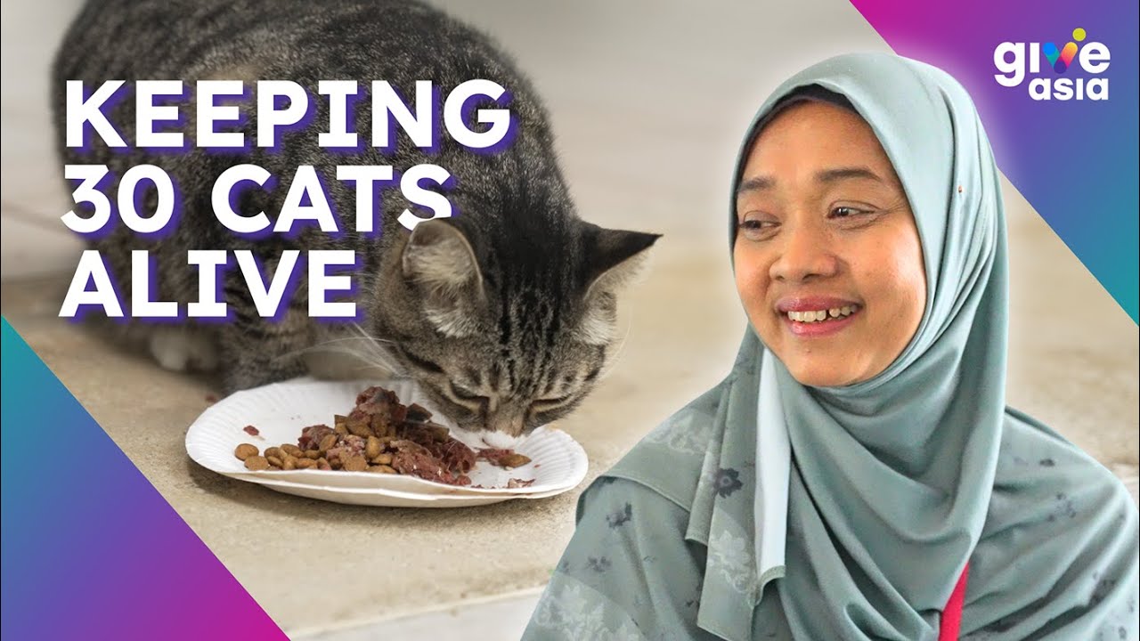 She Spent her Life Savings to Help Stray Cats in Singapore