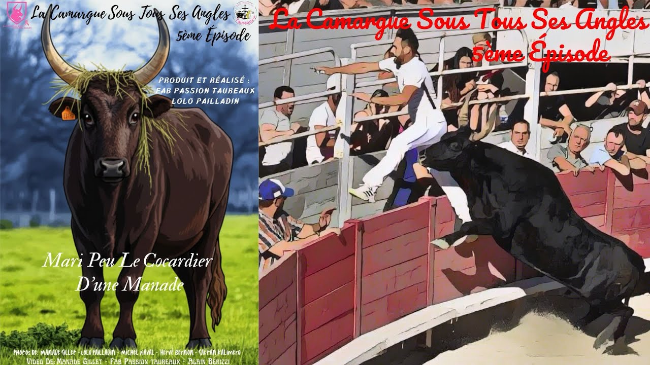 5ème épisode de La Camargue Sous Tous Ses Angles - S01E05