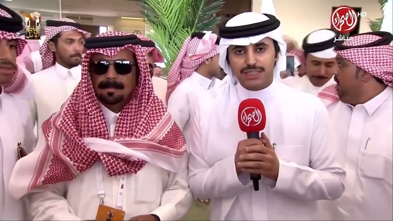 المركز الاول فئة الجمل 30 وضح الشيخ :بداح بن عواد الصخابره الدوسري