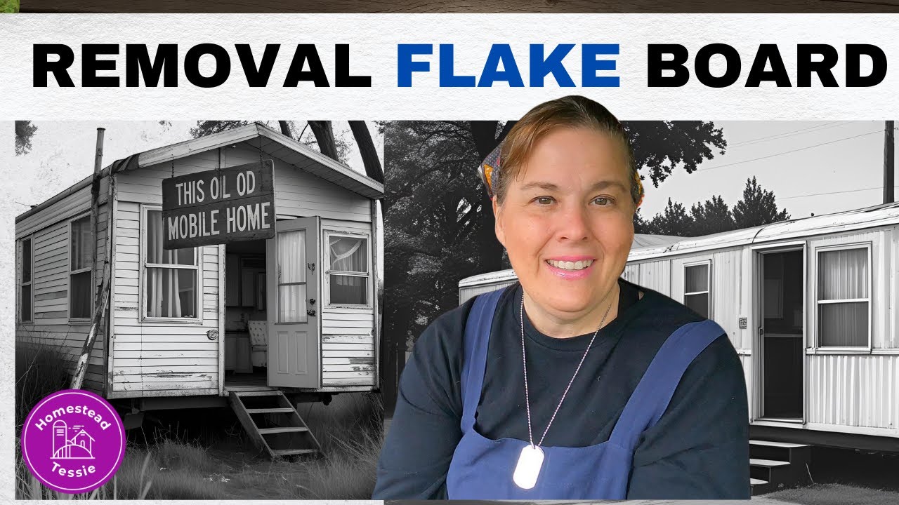 SORTING THROUGH THE MOBILE HOME MESS | REMOVING OLD FLAKEBOARD
