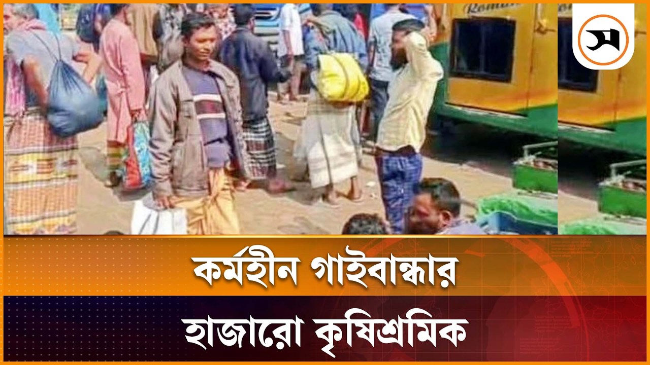 কাজের খোঁজে প্রতিদিন ঘর ছাড়ছেন গাইবান্ধার সহস্রাধিক কৃষিশ্রমিক | Gaibandha | AgriculturalWorkers