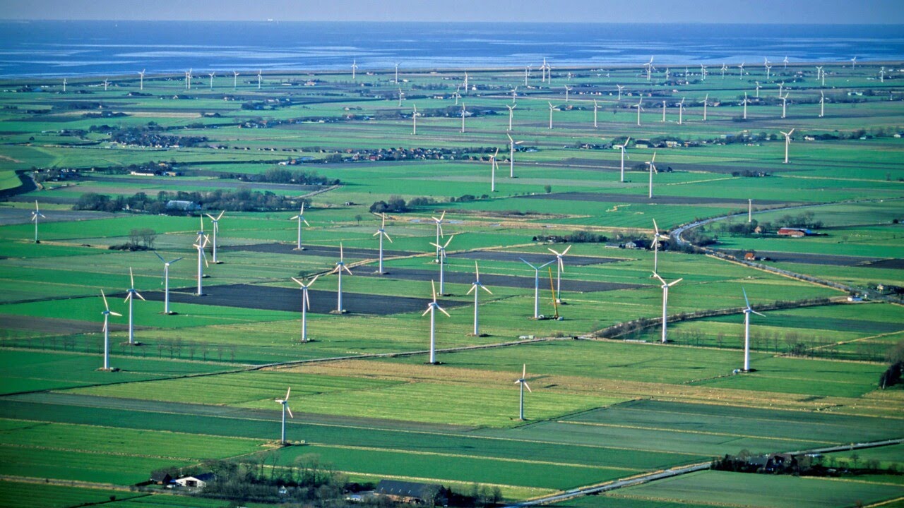 ‘Not climate action, but biodiversity vandalism’: Environmentalist calls out wind farm hypocrisy