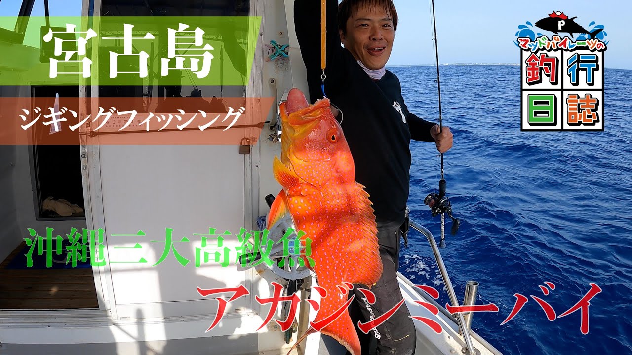 宮古島でジギングフィッシング！沖縄三大高級魚アカジンミーバイ釣れました！