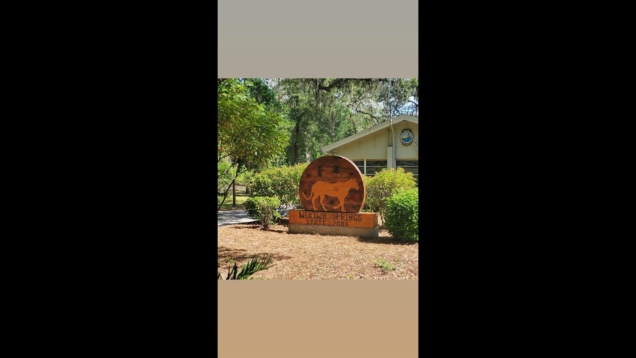 Fun day at Wekiwa springs