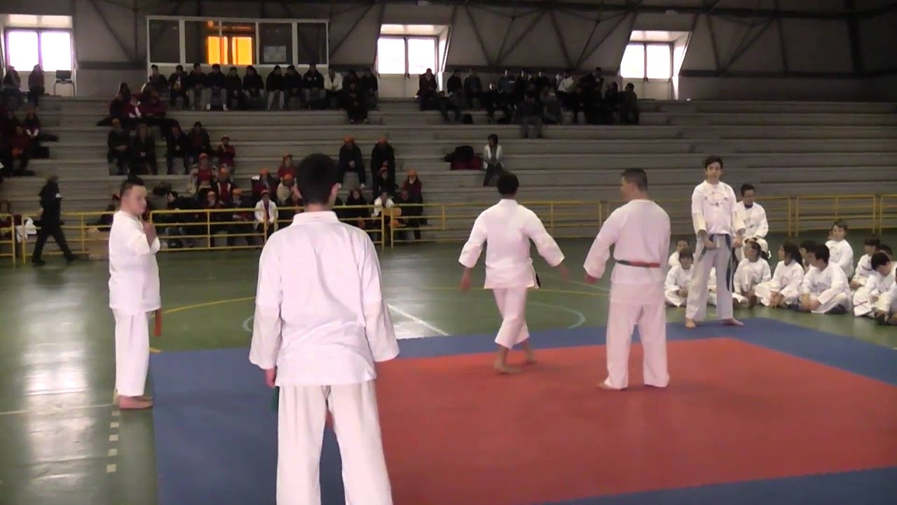 Sound Karate ragazzi del Toukon Karate-do del Maestro Luca Nicosanti