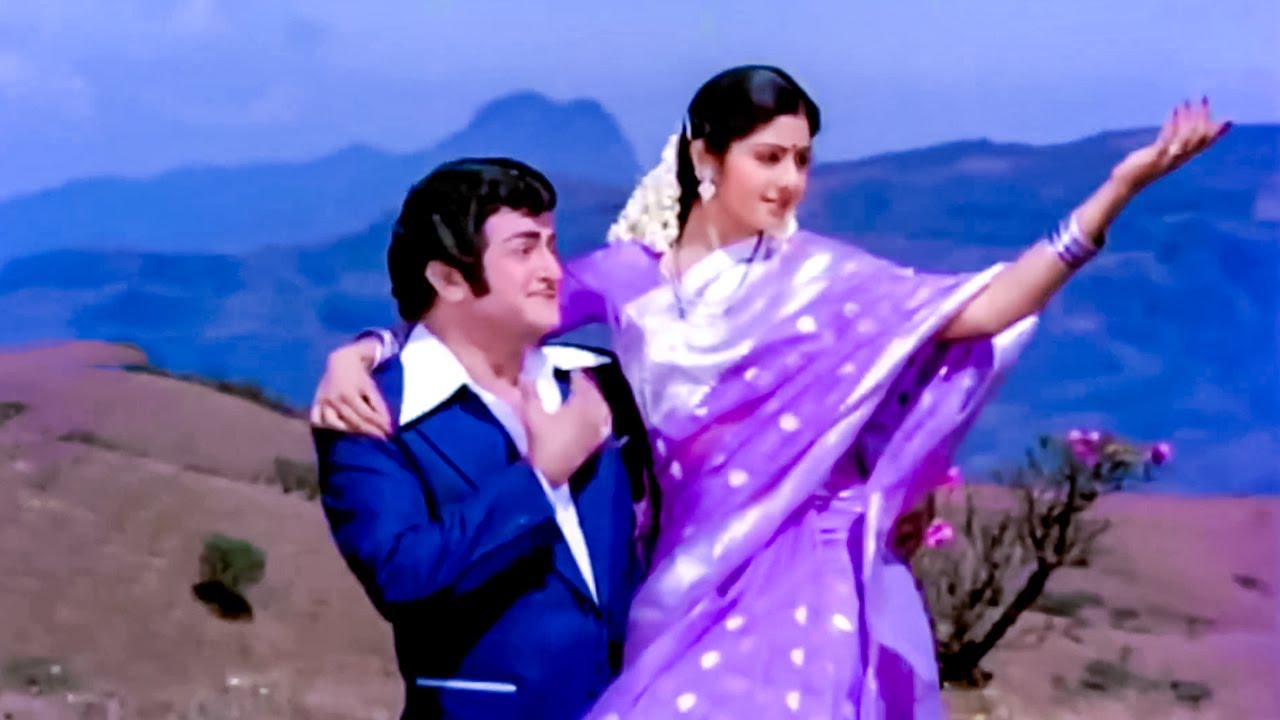 NTR, Sridevi Evergreen Video Song | Vayyari Bhamalu Vagalamari Bhartalu Movie Video Songs