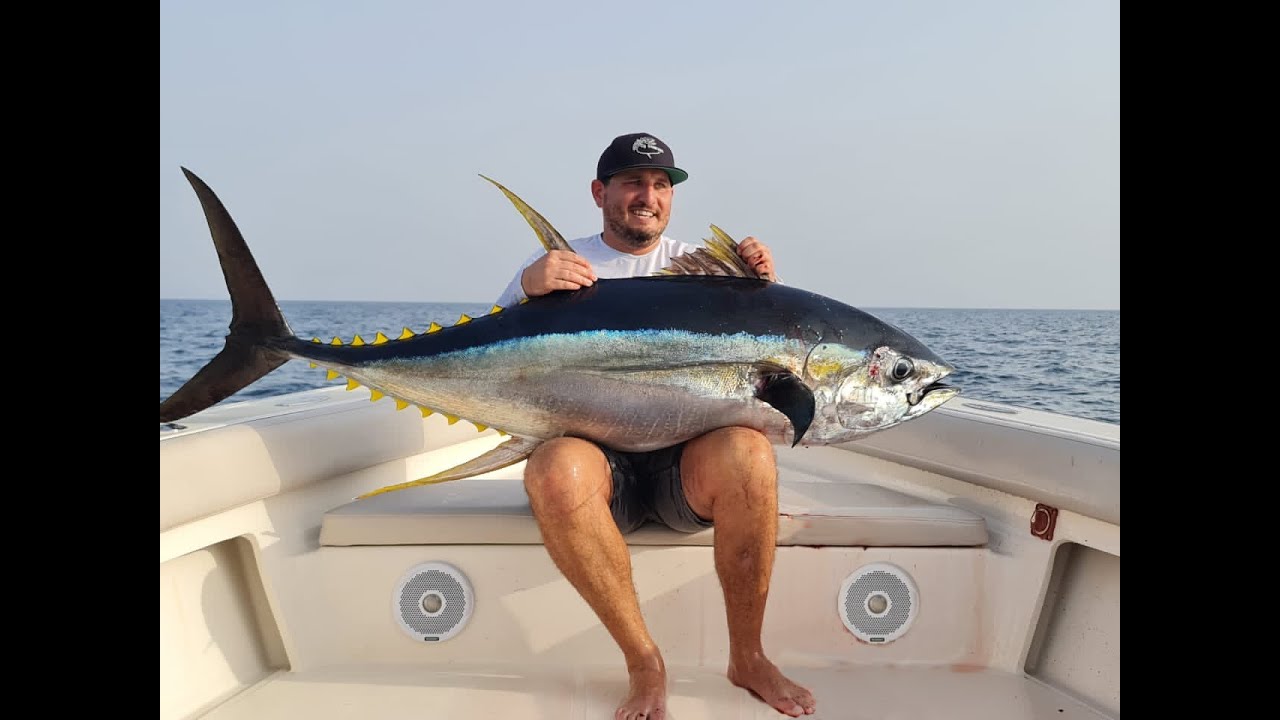 Huge Yellow Fin Tuna Topwater Popping - Fujairah UAE FishUAE.com דייג ילופין טונה ענקית בפוג'ירה