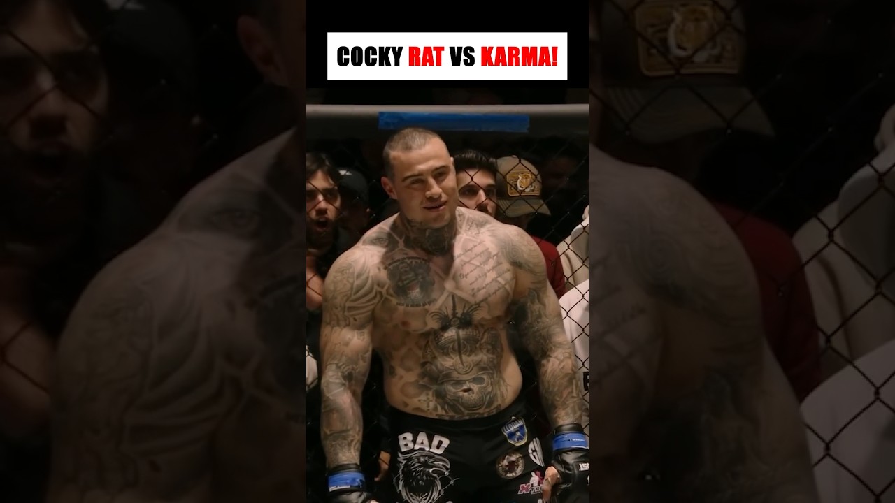 Overconfident Fighter Got Knocked Out!