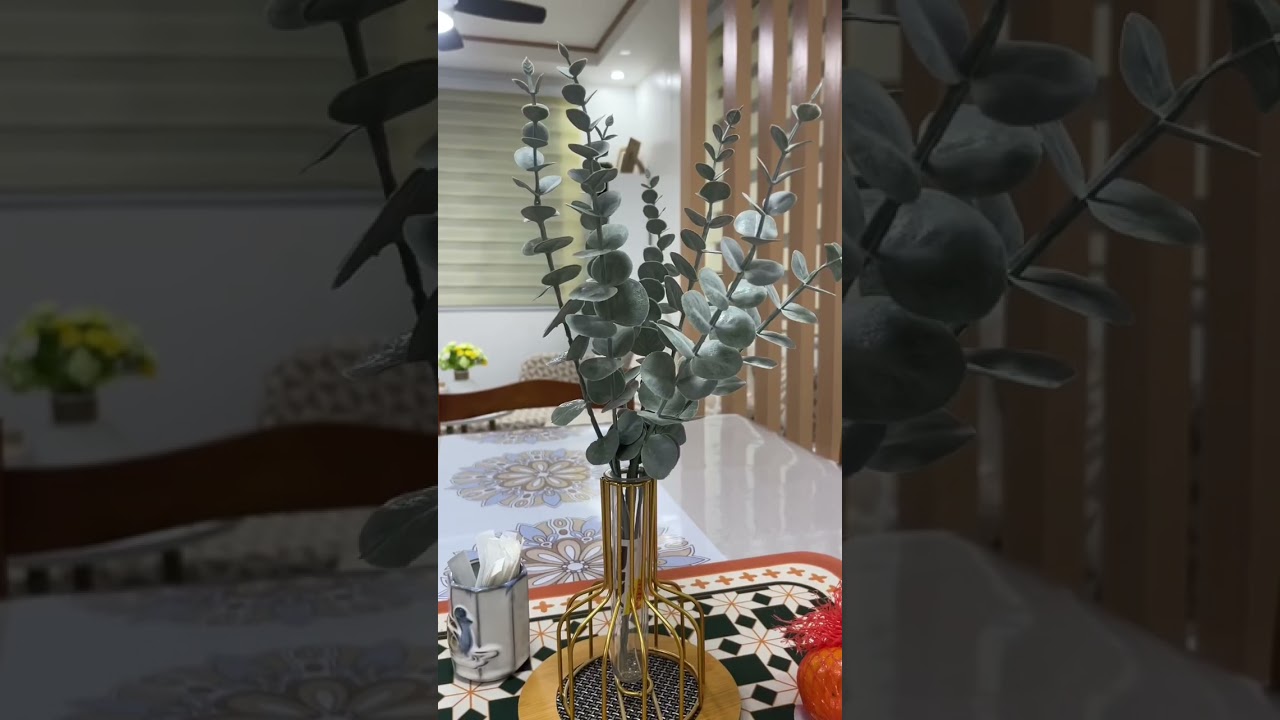 Living Area and Kitchen Pagsibol Village Home Improvement