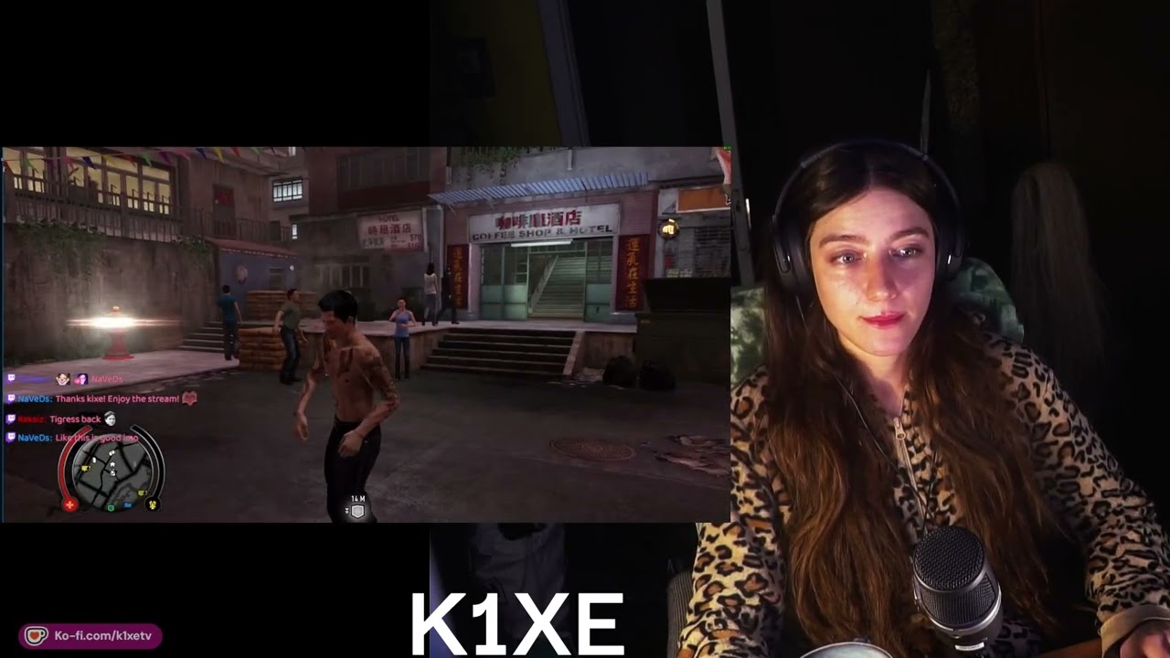 Lietuvos streameriai 