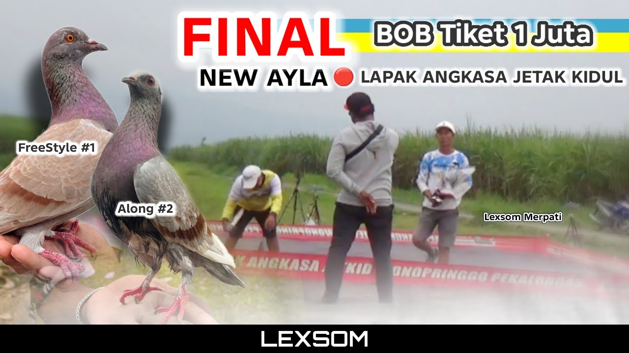 🔴 FINAL BOB tiket 1 juta 'FREESTYLE vs ALONG' ‼️ New Ayla lapak angkasa jetak kidul pekalongan