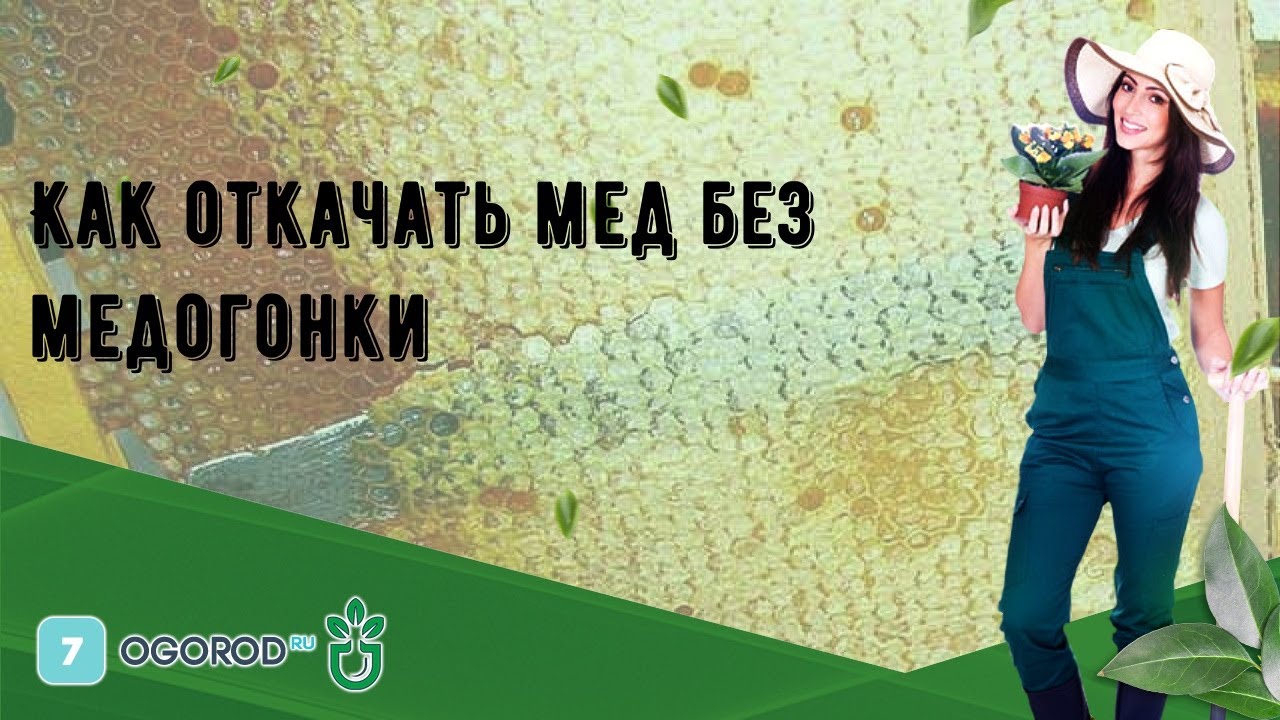 Как откачать мед без медогонки