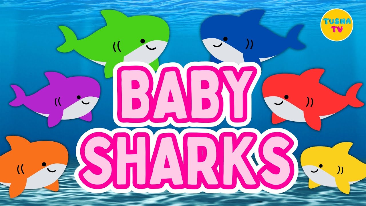 Baby Shark Colors | Learn Colors for Kids | Baby Shark | Tusha TV
