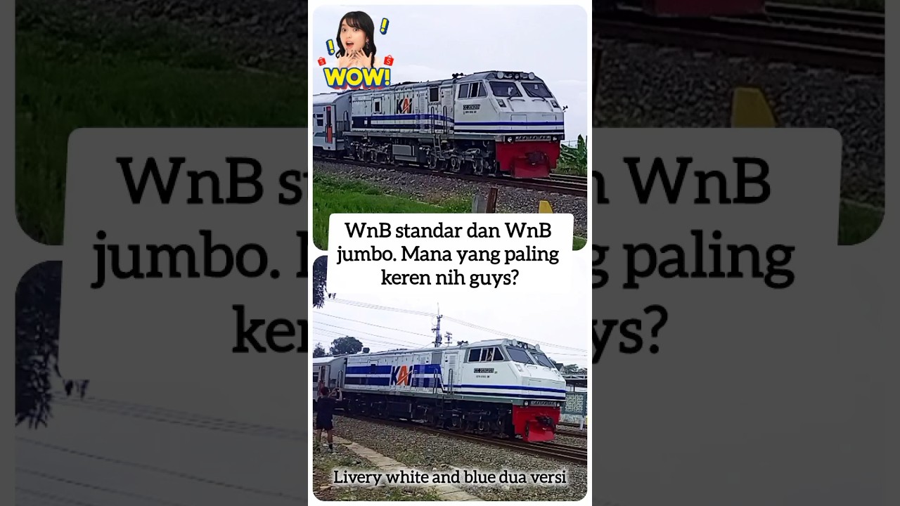 Dua versi!! Lokomotif livery WnB standar dan jumbo #kai #kai121 #cc203 #shorts #fyp