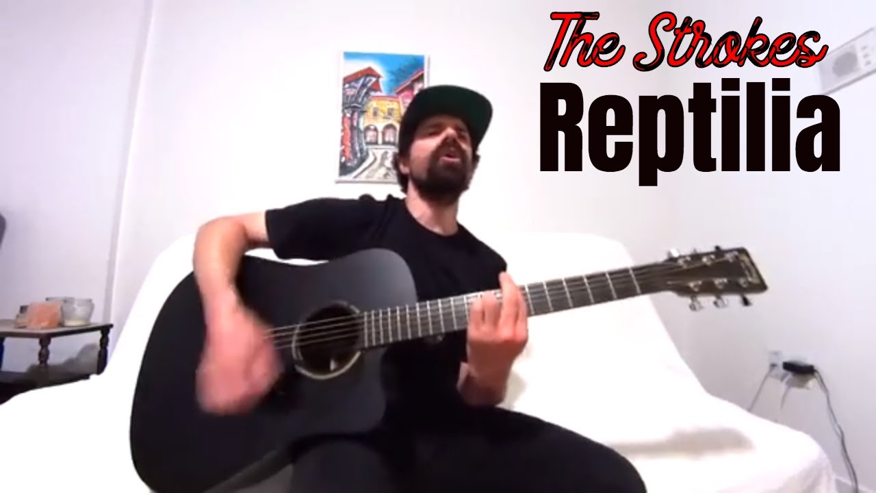 Reptilia - The Strokes [Acoustic Cover by Joel Goguen]