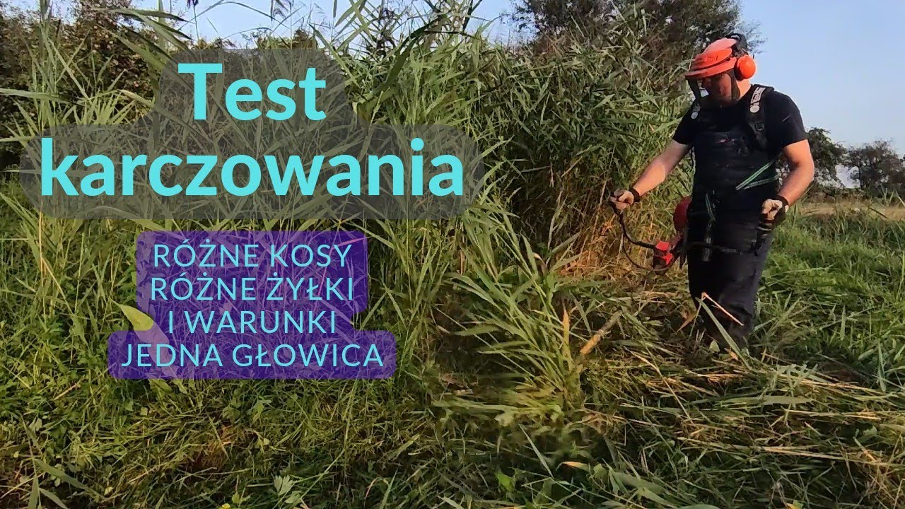 Oregon Jet-Fit, karczowanie specjalną głowicą, co jest warta?!