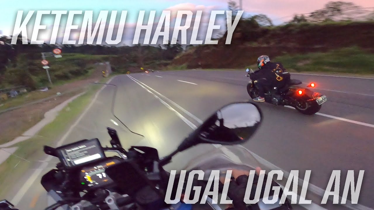 Pengendara Harley Meresahkan | Motovlog 306