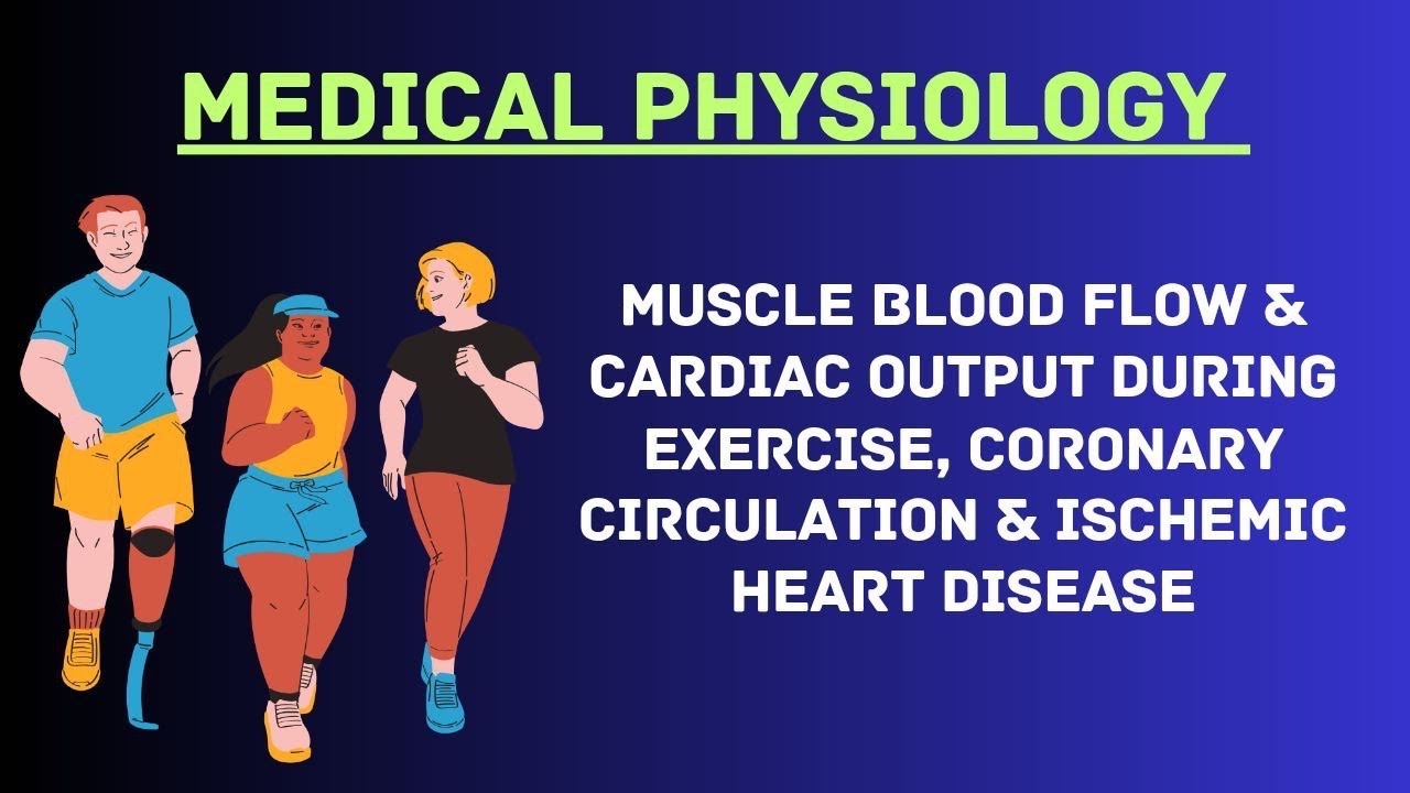 Guyton and Hall Physiology | Chapter 21 | Muscle Blood Flow & Cardiac Output