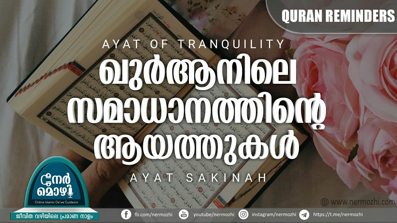 ഖുർആനിലെ സമാധാനത്തിൻ്റെ ആയത്തുകൾ | Ayat  Sakinah | Ayat of Tranquility ᴴᴰ - Nermozhi