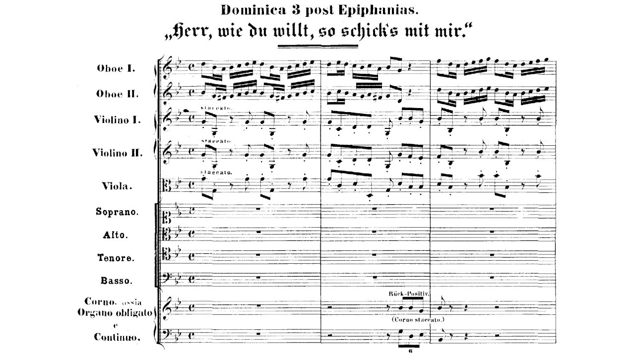 J.S Bach - Cantata: Herr, wie du willt, so schick's mit mir, BWV 73