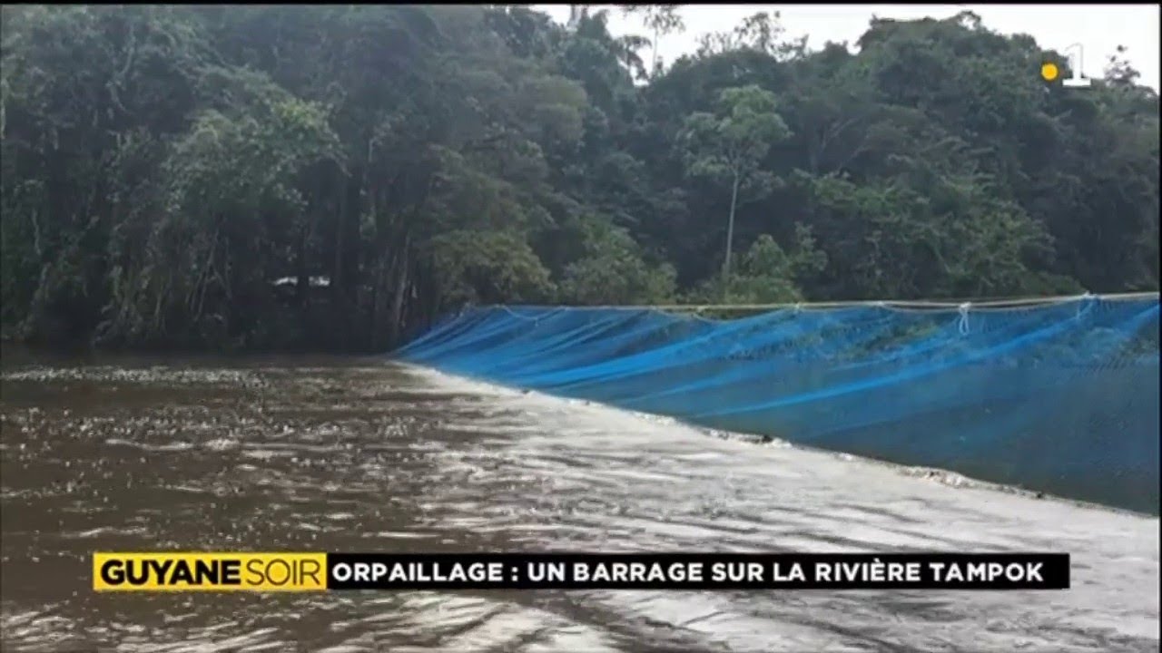 Orpaillage: Un barrage sur la rivière Tampok.