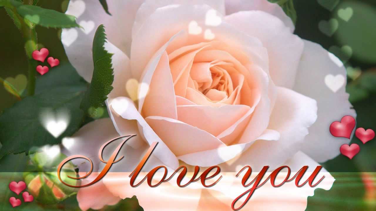 Veneno-DIONI FERNANDEZ y EL EQUIPO