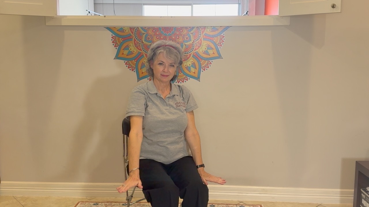 SEÑORITA Demo Adaptive Dancing