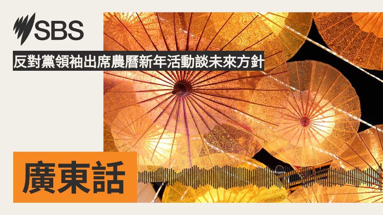 反對黨領袖出席農曆新年活動談未來方針 | SBS Cantonese - SBS廣東話節目